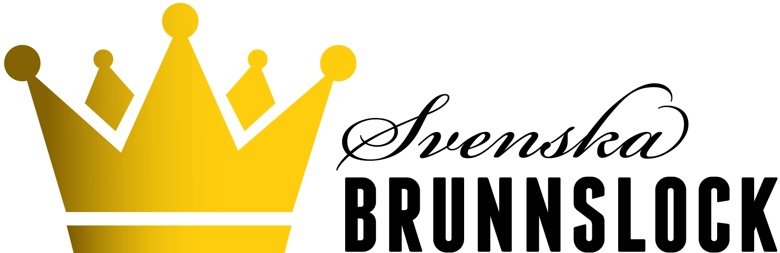 Svenska Brunnslock logo