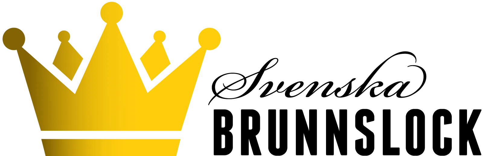 Svenska Brunnslock logo